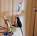 pranovo Rainbow Link C-Clips Hooks Plastic Chain Links C-Links Cage Hang Ring Plaything Climb Toys Foot Toy for Small Pet Rat Parrot Bird