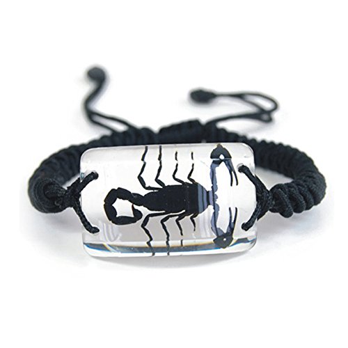 Clear Lucite Rectangular Twisted Band Bracelet w/ Genuine Black Scorpion