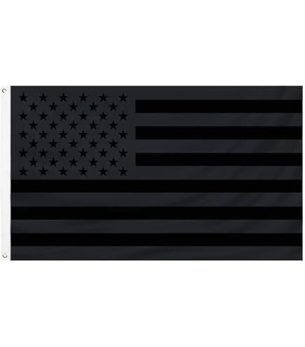 Amazon.com : GSYLPFT Black American Flags for Outside 3x5 US USA