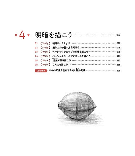 鉛筆一本ではじめる光と陰の描き方 ロジカルデッサンの技法 Ochabi Institute 本 通販 Amazon