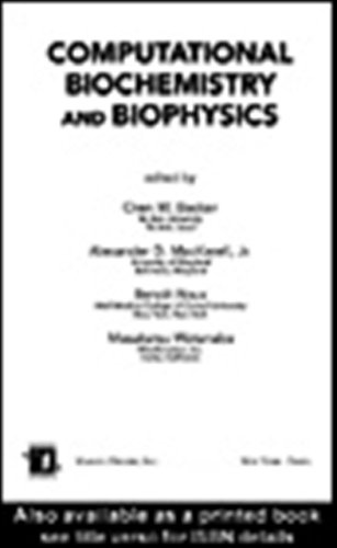 Computational Biochemistry and Biophysics