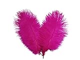 Lampu Ostrich Feathers 8-10 inch/20-25cm for