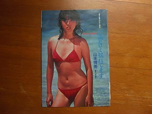 Amazon 山本博美きゃんきゃん時代グラビア５ページ 当時モノ おもちゃ ホビー