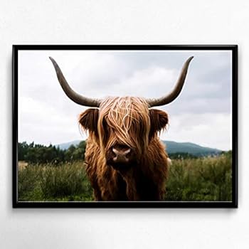 QG Art Highland Cattle in Scotland Nursery Animal Canvas Art Prints for Wall Decor,8 x 10 Inches,No Fraem