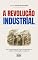 Livro A REVOLUÇÃO INDUSTRIAL: As engrenagens que moldaram a nossa civilização moderna (História Mundial)