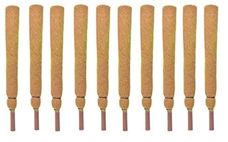 COIRGARDEN-Coco Pole