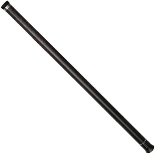 Insta360 Selfie Stick for ONE R, ONE X, ONE, EVO Action Camera, 70cm/27.56in : Camera & Photo
