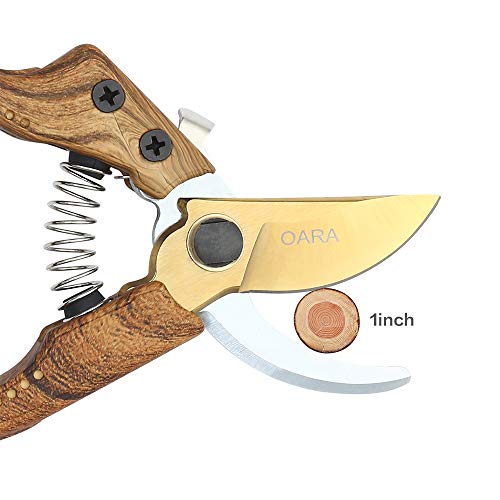 Oara SK-5 Steel Hand Pruners for Garden, Garden pruners Shears, Pruning Shears Garden, Garden Shears Clippers for Plants, Clippers for Garden Work