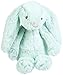 Jellycat Bashful Bright Mint Bunny - Small-7