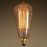 60 Watt - Vintage Antique Light Bulb - Edison Style - 4.75 in. Length - Squirrel Cage Filament - Multiple Supports - Clear