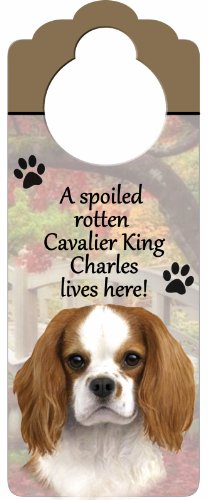 King Charles Cavalier Wood Sign 