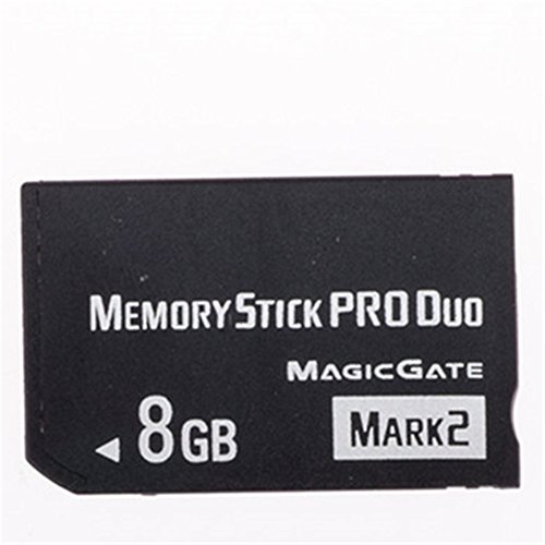 High Speed fsrdGT Memory Stick Pro-HG Duo 8GB(Mark 2) PSP Accessories