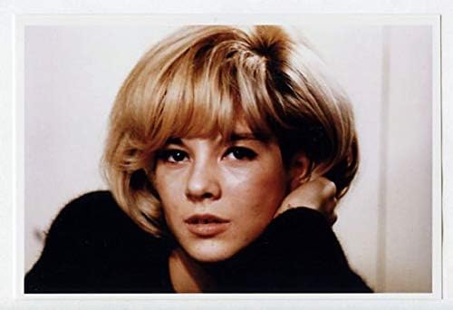 Amazon Co Jp 歌手 シルヴィ バルタン Sylvie Vartan 写真 フォト 小 Portrait Photograph 119a シルビー ヴァルタン ホビー