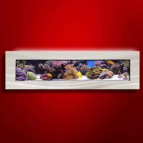 Aussie Aquariums 2.0 Wall Mounted Aquarium – Panoramic – Brushed Silver