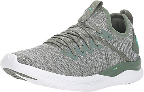 puma ignite flash evoknit sep wn