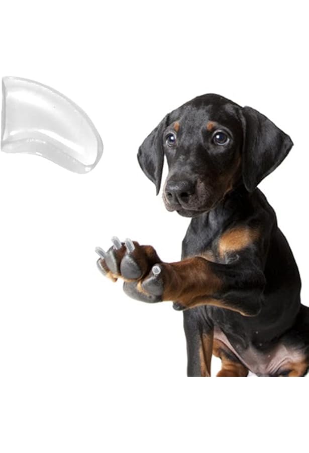 天王洲ECマーケット Yahoo!店Purrdy Paws Nail Black Caps for XXL Dogs Claws 40