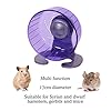 Rosewood Pico Exercise Wheel for Hamsters with Stand, Purple