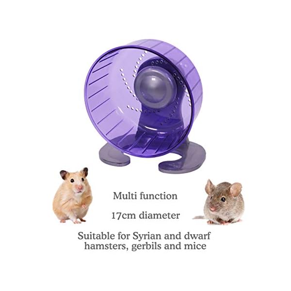 Rosewood Pico Exercise Wheel for Hamsters with Stand, Purple