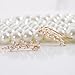 Humble Chic Crystal Leaf Ear Climbers - Simulated Diamond Flower Crawler Cuff Stud Earrings