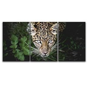 3 Panel Canvas Wall Art - Leopard in The Wild - Giclee Print Gallery Wrap Modern Home Art Ready to Hang - 16"x24" x 3 Panels