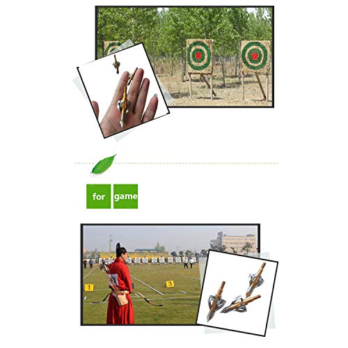 image for Anglle Hunting Broadheads, Toxic Broadheads Flying 100 Grain Arrow Arc