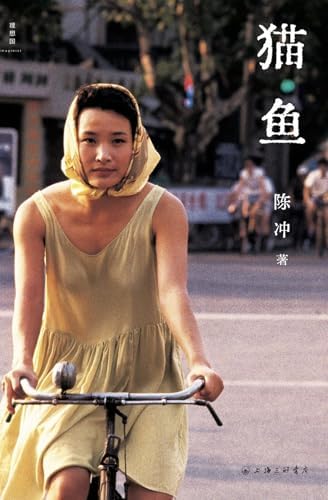 Amazon.com: 景观社会的图像(20世纪90年代以来的欧洲绘画研究)(精