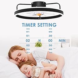 Mpayel Low Profile Ceiling Fans with Lights Remote