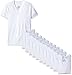 Hanes Men's V-Neck T-Shirt