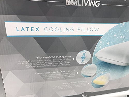 Lux Living Talalay Latex Pillow Queen Low Cost Iccasap Com