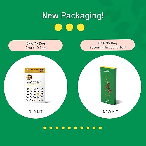 Dna My Dog Essential Test Breed ID Test Mixed Breed Identification