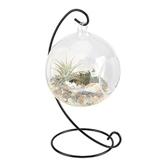 Amazon Com Cocoarm Hanging Glass Vase Terrarium Globe With Stand