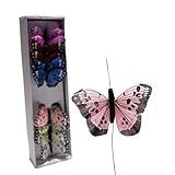 Spotted Butterfly Decorations