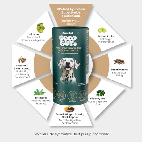 GoodGut+ Digestive Enzyme Drops for Dogs | Milk Thistle + Ayurvedic Herbs | Fast Acting Liquid Drop for Gut Health & Liver Function | Reduces Scratching & Paw-Licking | 30-Days (175 ml)