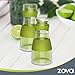 MR.SIGA zova Clear Glass Cruet Bottle with Double Pour Spout and Lid for Kitchen, Restaurant, Set of 2, 7.5 oz/220 ml