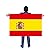 Spain Flag Cape Cloak Costume, Wearable Flag with Sleeves Classic Flag, 2 Differents Wearing Methods by DomeStar