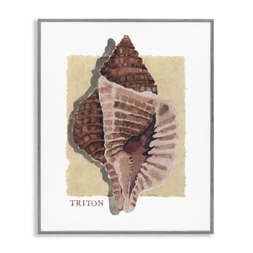 Stupell Industries Nautical Triton Shell Gray Framed Giclee Art design by Nancy…
