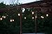 String Light Company Vintage 48-Ft Outdoor Commercial String Lights with 24 Suspended Sockets and 24 Clear S14 Bulbs, 16 Gauge Black Cord