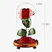 YSBER Artificial Flower Beauty & The Beast Colorful Rose and LED Light in Glass Dome on a Wooden Base for Lover, Mother, Girlfriend. (Warm White Light Rose Shade)