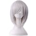 ANESHE Short Straight Hair Wig 12 Inches Anime Cosplay Costume Party Wigs (Silver Gray)