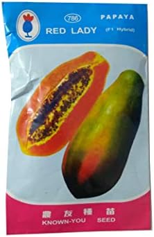 Red Ledy Papaya Seeds (Net Weight 10 GM) …