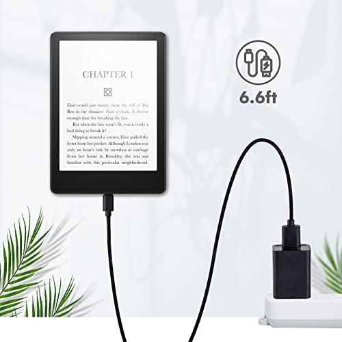 UL Listed Fast Charger for Old and New Kindle Fire Tablets (Designed for use with All Fire Tablets and All Kindle E-Readers)-6.6Ft USB to Micro-USB and USB-C 2IN1 Braided Cable