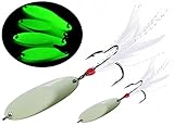 JSHANMEI Noctilucent Luminous Fishing Lures Metal Hard Bait Night Glow Sea Fishing Hard Baits Spoon Sequins with Feather Treble Hook (5g (Pack of 5))
