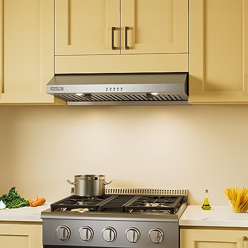 Empava Slim Range Hood 30 Inch Under Ducted, Dual Sealed
