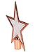Clever Creations Copper Christmas Tree Topper Star Festive Christmas Decor | Sparkling White and Copper Shatter Resistant Plastic | 6.5