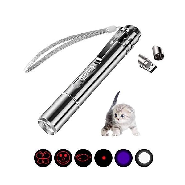 SUOXU-Cat-ToysLed-Pointer-Cat-Toys-Cat-Chaser-Toys-7-in-1-Function-Cats-Tracker-USB-RechargeableCat-Interactive-Toys-Wand-Pet-Cat-Catch-Single-Interactive-Exercise-Cat-Training-Tool SUOXU Cat Toys,Led Pointer Cat Toys,Cat Chaser Toys -7 in 1 Function Cats Tracker -USB Rechargeable,Cat Interactive Toys…