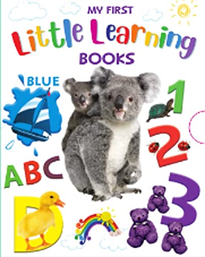 MY FIRST LITTLE LEARNING BOOKS: Page Publications: 9781648331428 ...