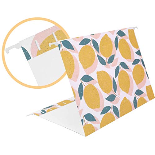 Decorative Hanging File Folders 12 Letter Size