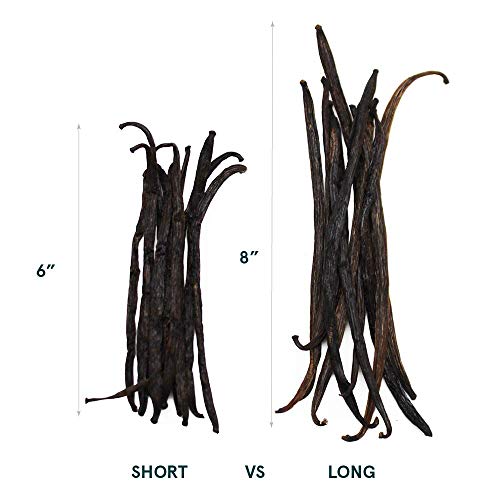 SB Organics Whole Vanilla Beans - Grade A Madagascar Bourbon Vanilla Bean Pods for Extract, Cooking and Baking - 10 Count Long Moist Vacuum Sealed - Thumbnail 6