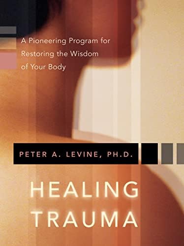 The Transformation: Discovering Wholeness and Healing After Trauma