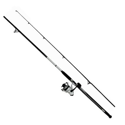 d wave fishing rod